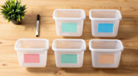 Best Labeling Systems for Dorm Storage