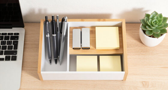 10 Best Compact Dorm Desk Organizer in 2026