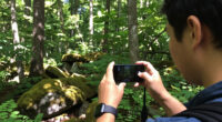 Lilley Cornett Woods, Kentucky, United States Surges In Global Coverage