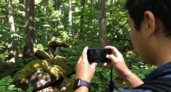 Lilley Cornett Woods, Kentucky, United States Surges In Global Coverage