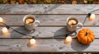 10 Best Portable Fall-Themed String Lights in 2026