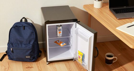 14 Best Compact Dorm Mini Fridge in 2026