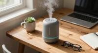 15 Best Portable Desktop Humidifiers in 2026