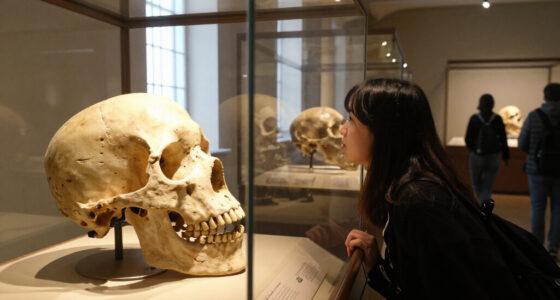 'Neanderthals Among Us' Review